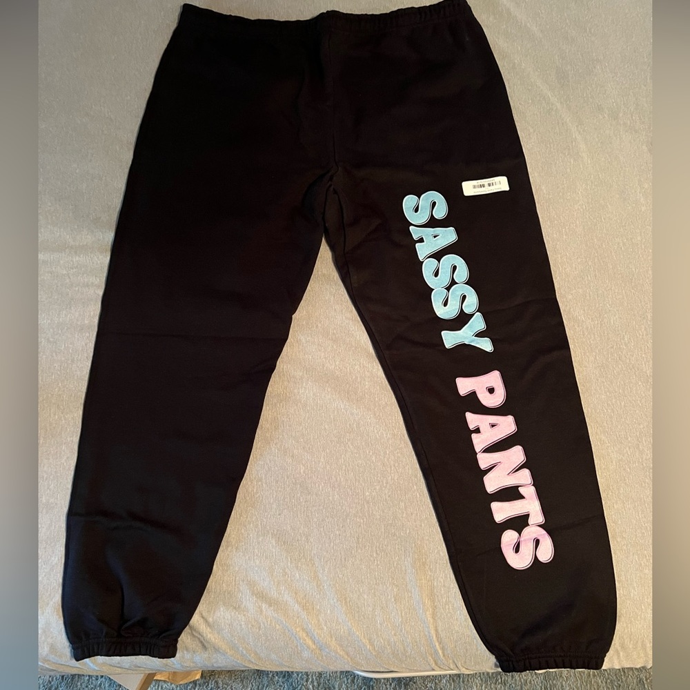 Sassy Pants sweat pants 3x